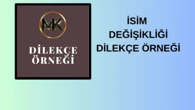 dilekce ornegi