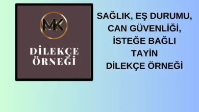 tayin dilekce ornegi